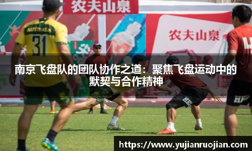 南京飞盘队的团队协作之道：聚焦飞盘运动中的默契与合作精神